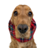 Earmuffs-for-dogs-flannel-tartan-red-worn Paraorecchie per cani in tartan flanella - Disponibile in molteplici colori