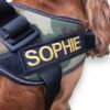 Custom patch for Julius-K9 harness or similar
