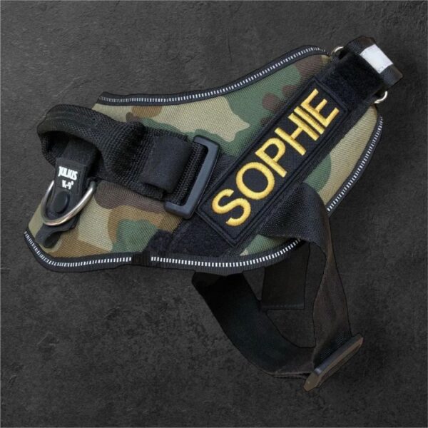 Custom patch for Julius-K9 harness or similar