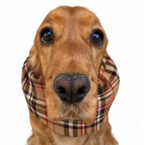 Paraorecchie per cani in tartan flanella - Disponibile in molteplici colori