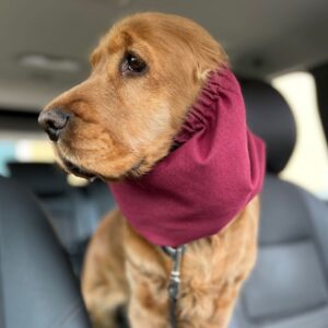 Jeans Effect Jersey Dog Earmuffs - Available in 3 Colors