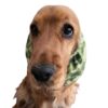 Dog earmuffs in 100% organic cotton - Skulls