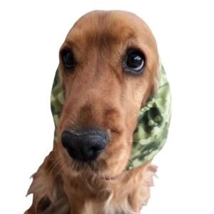 Paraorecchie per cani in 100% cotone bio - Skulls
