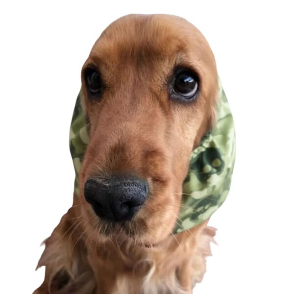 Dog earmuffs in 100% organic cotton - Skulls