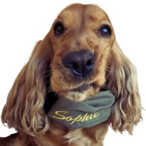 Paraorecchie-per-cani-100-cotone-military-green-indossato Paraorecchie per cani in 100% cotone - Disponibile in molteplici colori