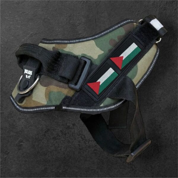 Patch bandiera Palestina per pettorina Julius-K9 (coppia da 2 pezzi, 6x4 cm)