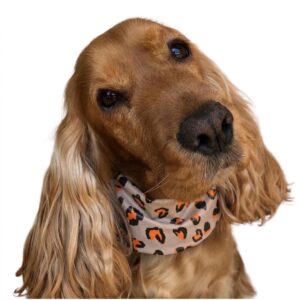 Paraorecchie per cani in tessuto impermeabile beige - Leopard love