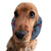 Paraorecchie per Cocker Spaniel in tessuto chambray - Kisses