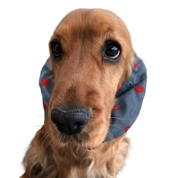 Paraorecchie per Cocker Spaniel in tessuto chambray - Kisses