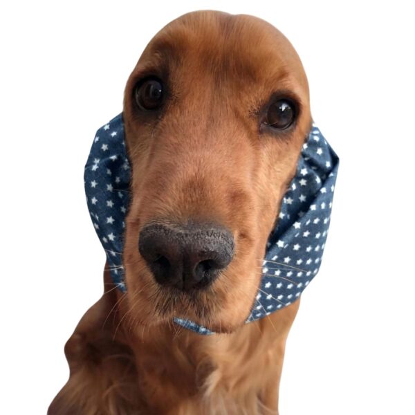 Paraorecchie per Cocker Spaniel in tessuto chambray - Stars